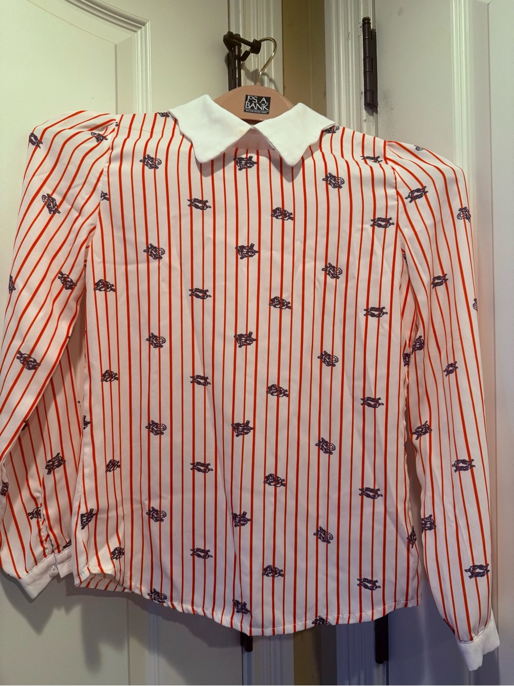 Red stripe chiffon Shirt with Navy Motif -